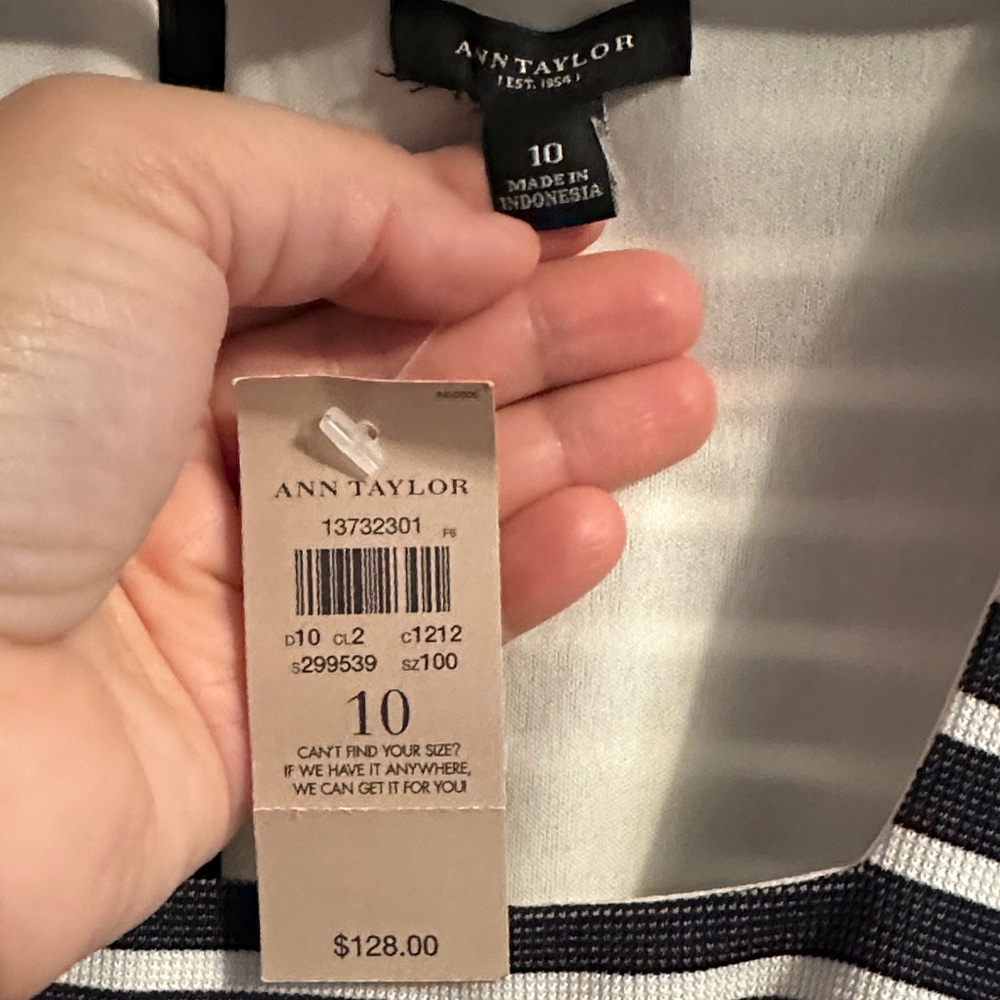 Ann Taylor Navy and White Striped Dress